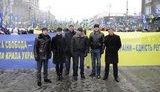 Молодежка Партии Регионов рапортует о досрочном праздновании Дня Свободы. ФОТОрепортаж