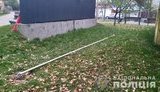 Росіянин зламав флагшток з прапором ОУН на Київщині, - Нацполіція. ФОТО