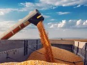 У партнера екс-чиновника ДПЗКУ Андрія Задираки, який переховується в Греції, знайшли “бізнес в росії” - ЗМІ