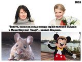 Значение пиара