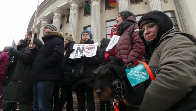 Страждання - це НЕ смішно! У Києві протестували проти використання тварин у цирку 13