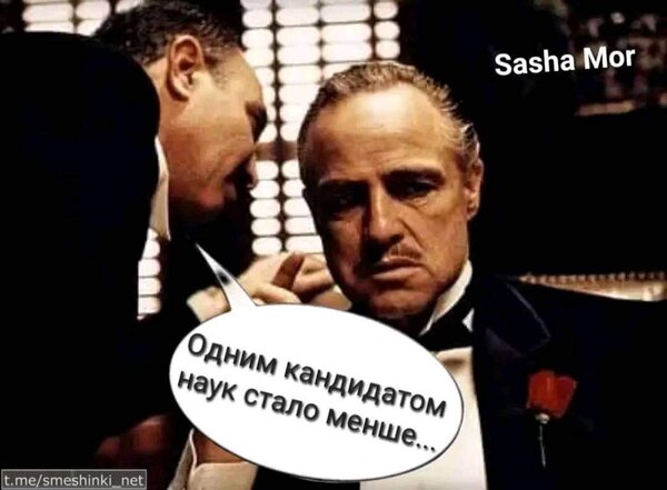Не трогайте Шария – это на Новый год. Фотожаберы о ликвидации Кивы 10