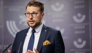 Литовский министр провел ночь в укрытии во время визита в Киев