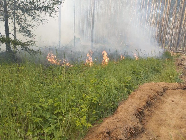 У Чорнобильській зоні зафіксували чотири осередки пожеж. Фахівці запевняють, що радіаційний фон залишається в межах норми.