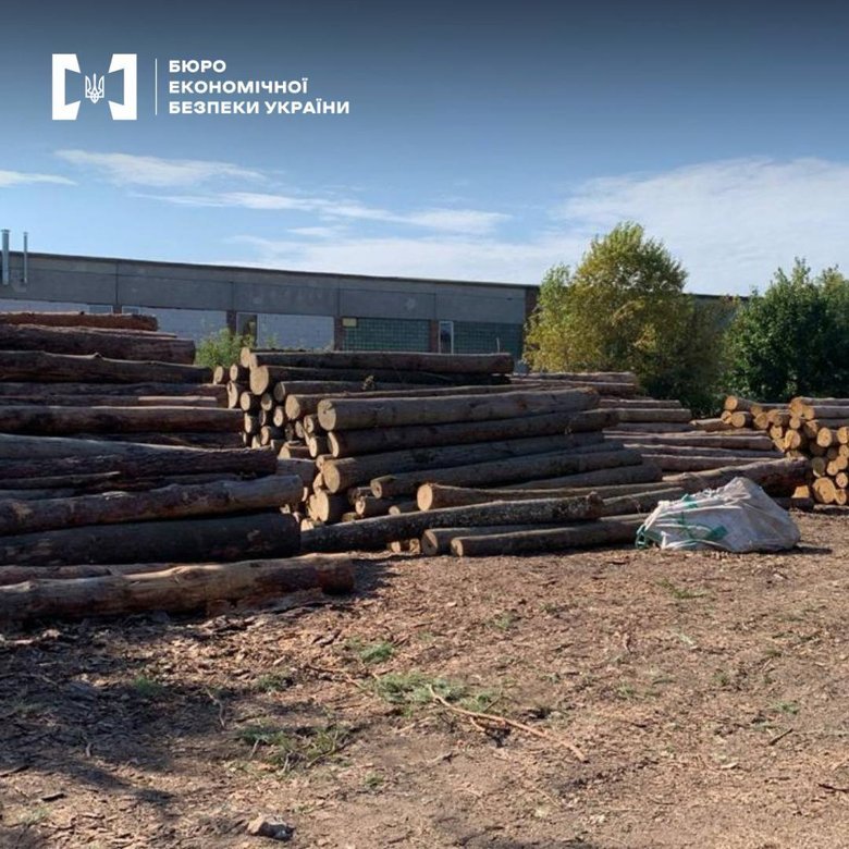 БЕБ ліквідувало багаторічну схему тіньового експорту деревини