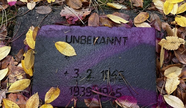 Вандалы в Германии нарисовали пропагандистские символы "Z" на военных могилах. ФОТО