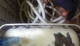 Податківці на Вінниччині затримали незаконну партію спирту об