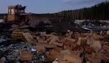россия трактор яблоки