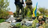 харківщина,циркуни
