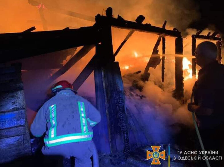 Almost 5 tons of crops were destroyed in Odesa region as a result of fire, - USES 02