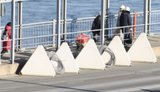 Естонія готова дуже швидко закрити кордон, якщо у Росії оголосять мобілізацію, - уряд