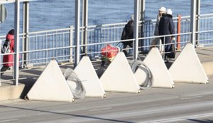 Мобілізація в Росії: Естонія готова закрити кордон