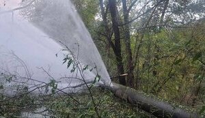 Russians shelled island of Khortytsia in Zaporizhzhia, there is destruction. PHOTOS