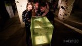 Харьковская экоинспекция поддержала экоинсталляцию об исчезновении животных второго Биеннале молодого искусства. ФОТО