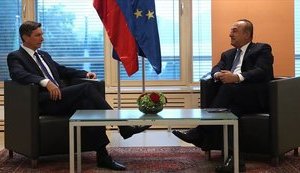 Президент Словении предложил ЕС предоставить Украине и Турции "особый статус"