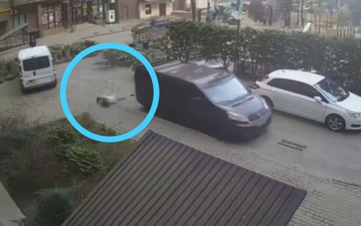 Вагітна жінка вчепилася за бус військових ТЦК та впала: терцентр Луцька прокоментував