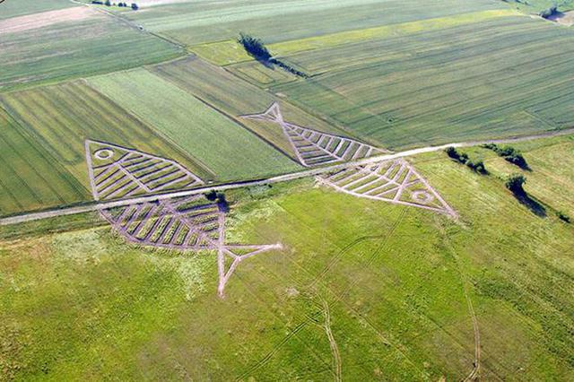 В поле на украинско-польской границе созданы гигантские рыбы 02 В поле на украинско-польской границе созданы гигантские рыбы 02