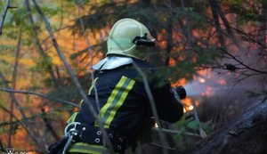 Пожежа на Закарпатті