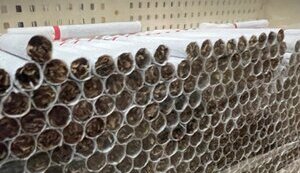 Українці почали створювати нелегальні фабрики з виробництва сигарет у Європі