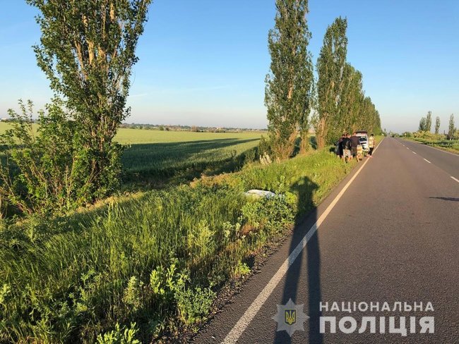 Парень и девушка погибли в результате ДТП на Николаевщине, - полиция 01