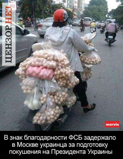 Террорист
