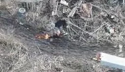 Россиянин бежит, штаны горят