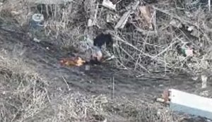 Окупант несеться у бліндаж і на ходу намагається зняти штани, охоплені вогнем. ВIДЕО