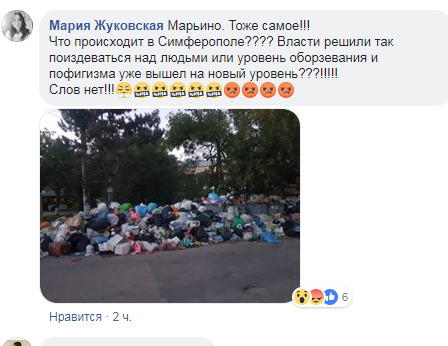 Оккупированный Симферополь утопает в мусоре, жители негодуют: Уже невмоготу! 02