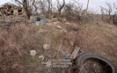 Nadiia Luhansk region