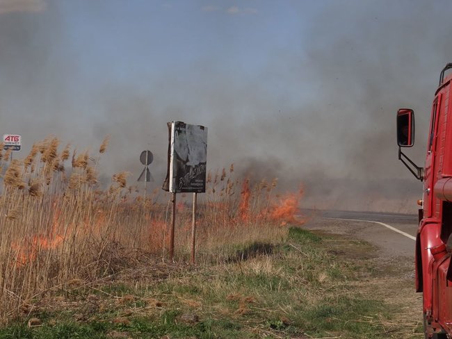 Национальный природный парк горел в Одесской области 02 Национальный природный парк горел в Одесской области 02