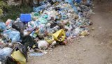 В Україні хочуть посилити штрафи за сміття: скільки платитимуть громадяни та бізнес