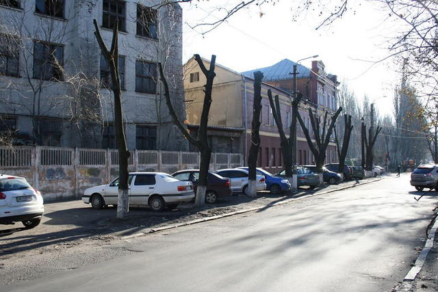 дерево