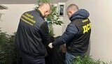 нацполіція,наркокартель