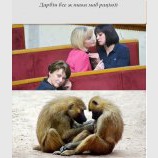 Дарвин в чем-то был прав...