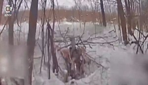 Дронари "Сталевого кордону" уничтожили 4 автомобиля, миномет и склад БК на Курском направлении. ВИДЕО