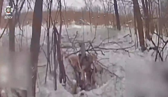 Прикордонники ударними дронами уразили техніку та укриття окупантів на Курському напрямку