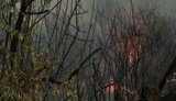 Окупанти підпалили ліс поблизу українських позицій під Горлівкою з метою прикрити обстріли зі свого боку. ВIДЕО