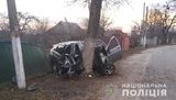 ВАЗ на Киевщине вылетел на обочину и столкнулся с деревом: погибло 5 человек. ФОТО