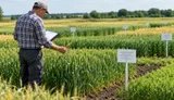 В Украине реорганизуют 11 исследовательских станций Национальной академии аграрных наук, - Бутенко