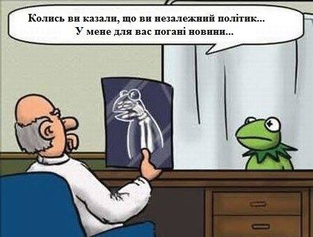 Анатомические особенности