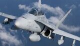 hornet