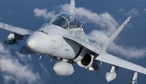 hornet