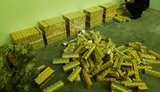 ДПСУ на кордоні з Білоруссю вилучила найбільшу за останні роки партію контрабандних цигарок - понад 130 тис. пачок. ВІДЕО+ФОТОрепортаж