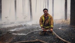 Пожарные потушили 9 из 10 очагов пожара на Луганщине, - ГСЧС