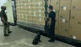 Прикордонники на кордоні з Білоруссю виявили рекордну партію контрабандних сигарет на 7 млн грн. ВIДЕО