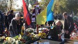 горбенко