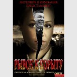 Куда уехал цирк?