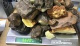Пресечена попытка незаконной отправки 12 кг янтаря в Катар и ОАЭ, - Госпогранслужба. ФОТОрепортаж
