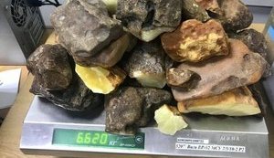 Пресечена попытка незаконной отправки 12 кг янтаря в Катар и ОАЭ, - Госпогранслужба. ФОТОрепортаж