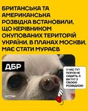 ...плутаються в ногах зі своїми теоріями змов